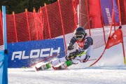 FIS Baltijas kauss Pozza di Fassa, FIS Lietuvas čempionāts GS, Foto: E.Lukšo