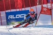 FIS Baltijas kauss Pozza di Fassa, FIS Lietuvas čempionāts GS, Foto: E.Lukšo