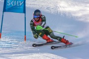 FIS Baltijas kauss Pozza di Fassa, FIS Lietuvas čempionāts GS, Foto: E.Lukšo