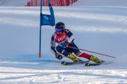 FIS Baltijas kauss Pozza di Fassa, FIS Lietuvas čempionāts GS, Foto: E.Lukšo