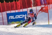 FIS Baltijas kauss Pozza di Fassa, FIS Lietuvas čempionāts GS, Foto: E.Lukšo