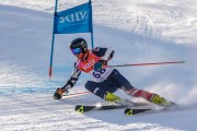 FIS Baltijas kauss Pozza di Fassa, FIS Lietuvas čempionāts GS, Foto: E.Lukšo