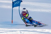 FIS Baltijas kauss Pozza di Fassa, FIS Lietuvas čempionāts GS, Foto: E.Lukšo