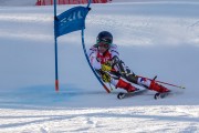 FIS Baltijas kauss Pozza di Fassa, FIS Lietuvas čempionāts GS, Foto: E.Lukšo