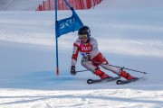 FIS Baltijas kauss Pozza di Fassa, FIS Lietuvas čempionāts GS, Foto: E.Lukšo