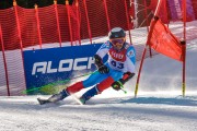 FIS Baltijas kauss Pozza di Fassa, FIS Lietuvas čempionāts GS, Foto: E.Lukšo