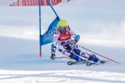 FIS Baltijas kauss Pozza di Fassa, FIS Lietuvas čempionāts GS, Foto: E.Lukšo