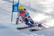 FIS Baltijas kauss Pozza di Fassa, FIS Lietuvas čempionāts GS, Foto: E.Lukšo