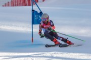 FIS Baltijas kauss Pozza di Fassa, FIS Lietuvas čempionāts GS, Foto: E.Lukšo