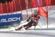 FIS Baltijas kauss Pozza di Fassa, FIS Lietuvas čempionāts GS, Foto: E.Lukšo