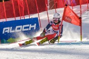 FIS Baltijas kauss Pozza di Fassa, FIS Lietuvas čempionāts GS, Foto: E.Lukšo