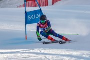 FIS Baltijas kauss Pozza di Fassa, FIS Lietuvas čempionāts GS, Foto: E.Lukšo