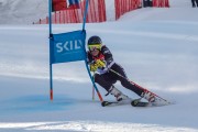 FIS Baltijas kauss Pozza di Fassa, FIS Lietuvas čempionāts GS, Foto: E.Lukšo