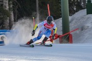 FIS Baltijas kauss Pozza di Fassa, FIS Lietuvas čempionāts GS, Foto: E.Lukšo