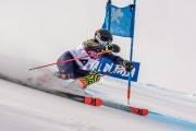 FIS Baltijas kauss Pozza di Fassa, FIS Lietuvas čempionāts GS, Foto: E.Lukšo