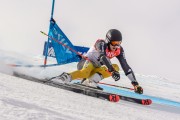 FIS Baltijas kauss Pozza di Fassa, FIS Lietuvas čempionāts GS, Foto: E.Lukšo