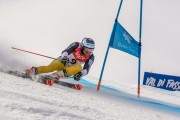 FIS Baltijas kauss Pozza di Fassa, FIS Lietuvas čempionāts GS, Foto: E.Lukšo