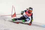 FIS Baltijas kauss Pozza di Fassa, FIS Lietuvas čempionāts GS, Foto: E.Lukšo