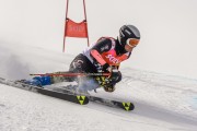 FIS Baltijas kauss Pozza di Fassa, FIS Lietuvas čempionāts GS, Foto: E.Lukšo