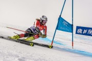 FIS Baltijas kauss Pozza di Fassa, FIS Lietuvas čempionāts GS, Foto: E.Lukšo