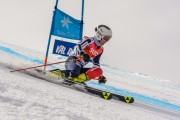 FIS Baltijas kauss Pozza di Fassa, FIS Lietuvas čempionāts GS, Foto: E.Lukšo