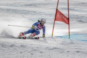 FIS Baltijas kauss Pozza di Fassa, FIS Lietuvas čempionāts GS, Foto: E.Lukšo