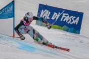 FIS Baltijas kauss Pozza di Fassa, FIS Lietuvas čempionāts GS, Foto: E.Lukšo