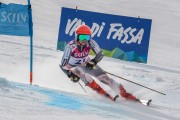 FIS Baltijas kauss Pozza di Fassa, FIS Lietuvas čempionāts GS, Foto: E.Lukšo