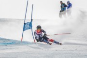 FIS Baltijas kauss Pozza di Fassa, FIS Lietuvas čempionāts GS, Foto: E.Lukšo