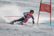 FIS Baltijas kauss Pozza di Fassa, FIS Lietuvas čempionāts GS, Foto: E.Lukšo