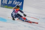 FIS Baltijas kauss Pozza di Fassa, FIS Lietuvas čempionāts GS, Foto: E.Lukšo