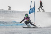 FIS Baltijas kauss Pozza di Fassa, FIS Lietuvas čempionāts GS, Foto: E.Lukšo