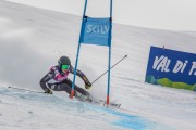 FIS Baltijas kauss Pozza di Fassa, FIS Lietuvas čempionāts GS, Foto: E.Lukšo