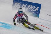 FIS Baltijas kauss Pozza di Fassa, FIS Lietuvas čempionāts GS, Foto: E.Lukšo