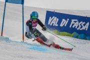 FIS Baltijas kauss Pozza di Fassa, FIS Lietuvas čempionāts GS, Foto: E.Lukšo