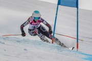 FIS Baltijas kauss Pozza di Fassa, FIS Lietuvas čempionāts GS, Foto: E.Lukšo