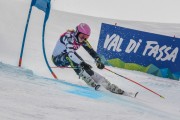 FIS Baltijas kauss Pozza di Fassa, FIS Lietuvas čempionāts GS, Foto: E.Lukšo