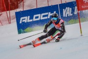 FIS Baltijas kauss Pozza di Fassa, FIS Lietuvas čempionāts GS, Foto: E.Lukšo