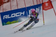 FIS Baltijas kauss Pozza di Fassa, FIS Lietuvas čempionāts GS, Foto: E.Lukšo