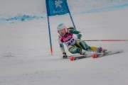 FIS Baltijas kauss Pozza di Fassa, FIS Lietuvas čempionāts GS, Foto: E.Lukšo