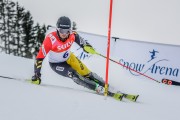 FIS Baltijas kauss Pozza di Fassa, FIS Latvijas čempionāts SL, Foto: E.Lukšo