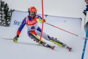 FIS Baltijas kauss Pozza di Fassa, FIS Latvijas čempionāts SL, Foto: E.Lukšo