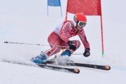 FIS Baltic Cup 2018 3. posms, jauniešu un meistaru SG, Foto: Emīls Lukšo