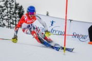 FIS Baltijas kauss Pozza di Fassa, FIS Latvijas čempionāts SL, Foto: E.Lukšo