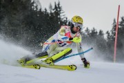 FIS Baltijas kauss Pozza di Fassa, FIS Latvijas čempionāts SL, Foto: E.Lukšo