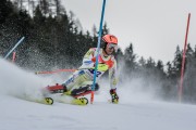 FIS Baltijas kauss Pozza di Fassa, FIS Latvijas čempionāts SL, Foto: E.Lukšo