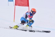 FIS Baltic Cup 2018 3. posms, jauniešu un meistaru SG, Foto: Emīls Lukšo