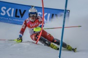 FIS Baltijas kauss Pozza di Fassa, FIS Latvijas čempionāts SL, Foto: E.Lukšo