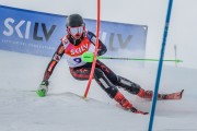 FIS Baltijas kauss Pozza di Fassa, FIS Latvijas čempionāts SL, Foto: E.Lukšo