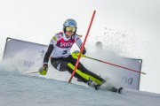 FIS Baltijas kauss Pozza di Fassa, FIS Latvijas čempionāts SL, Foto: E.Lukšo